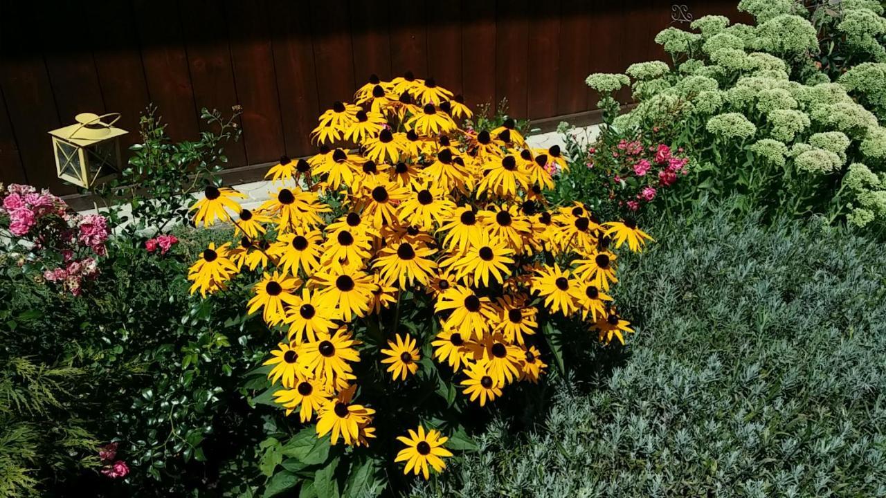 Ferienwohnungen Oranhof フェルデン・アム・ヴェルターゼー エクステリア 写真